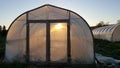 Morning sun shinning threw greenhouse