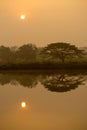 Morning sun with water reflection in a golden pond and silhouette view of big rain tree Royalty Free Stock Photo