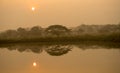 Morning sun with water reflection in a golden pond and silhouette view of big rain tree Royalty Free Stock Photo