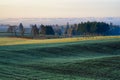 Morning Sunlight on Agricultural Grounds Royalty Free Stock Photo