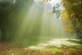 Morning sunlight breaking through the fog