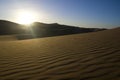 Morning sunlight in the desert Royalty Free Stock Photo