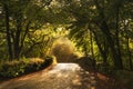 Morning sunlight on old stone bridge