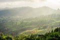 Morning sunlight passing through haze to create stunning landscape