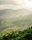 Morning sunlight passing through haze to create stunning landscape