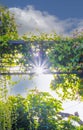 Morning sunlight shining through archway of silhouette of green vines and pink flowers on an iron gate Royalty Free Stock Photo