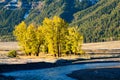 Morning sunlight sweeps across the Lamar Valley in Fall Royalty Free Stock Photo