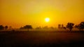 The morning sunrise and the golden fields Royalty Free Stock Photo