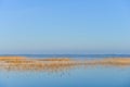 Morning at sunrise over Lake Biscarosse, France