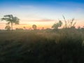 Morning sunrise view at paddy field. Green rice field in the evening and beam sunrise. Beautiful nature environment on rice fields Royalty Free Stock Photo