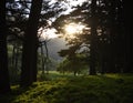 Sunset over the Oakland Hills in the California Royalty Free Stock Photo