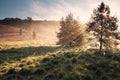 Morning sunshine over misty hills