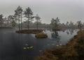 Morning on the swamp lake.