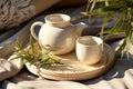 Morning tea, teapot and cup of green tea, on a tray. Chinese tea ceremony.