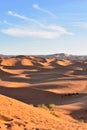 Morning on the top of the Erg Chebbi dune in Merzouga