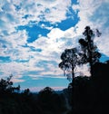 Morning trail walk on a peaceful mind by the side of the reserved forest watching the white blue skyline with the shadow of trees