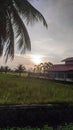 Morning Vibe and Rice Field