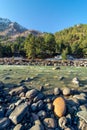 Morning View of Baspa River in Chitkul Kinnaur Valley, Himachal Pradesh Royalty Free Stock Photo