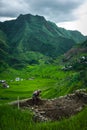 Batad rice terraces Royalty Free Stock Photo