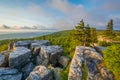 Morning view from Bear Rocks Preserve in Dolly Sods Wilderness, Monongahela National Forest, West Virginia Royalty Free Stock Photo