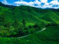 Morning view of Boh Tea Plantation. Taken from uphill restaurant at Boh tea garden. Cameron Highlands, Malaysia Royalty Free Stock Photo