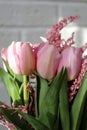 Bouquet of beautiful pink tulips in early spring as a postcard or picture with nice flowers Royalty Free Stock Photo