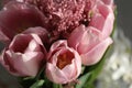 Bouquet of beautiful pink tulips in early spring as a postcard or picture with nice flowers Royalty Free Stock Photo