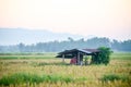 Morning View Fields