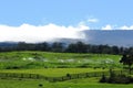 Horse Ranch Royalty Free Stock Photo