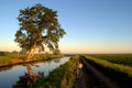 Morning view of the irrigation canal, a tree reflected in the water surface of the canal and a bicycle on the country road. Royalty Free Stock Photo