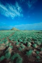 Morning view on the island of kenawa with blue sky and green grass