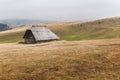 Morning view of  meadow in late summer or autumn with fog descending Royalty Free Stock Photo