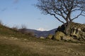 Morning view of Mount Mkinvartsveri (Kazbek) from the territory of the Jvari monastery. Tree without leaves on rocks Royalty Free Stock Photo