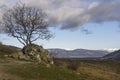 Morning view of Mount Mkinvartsveri (Kazbek) from the territory of the Jvari monastery. Tree without leaves on rocks Royalty Free Stock Photo