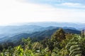 Morning View from Mountain, Pha Daeng National Park in Chiangmai Royalty Free Stock Photo