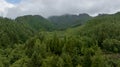 Morning View of the Oregon Coastlne With Fog Rolling In