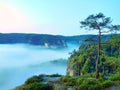 Morning view over rock and fresh green trees to deep valley full of light blue mist. Dreamy spring landscape within daybreak Royalty Free Stock Photo