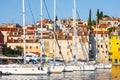 Morning view on sailboat harbor in Rovinj with many moored sail boats and yachts, Croatia Royalty Free Stock Photo