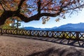 Morning view from terrace under orange tree of Zhushan mountain Royalty Free Stock Photo