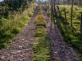 Morning view of a typical rural road made with gravel and stones Royalty Free Stock Photo