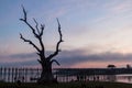 Morning view of U Bein bridge over Taungthaman lake in Amarapura near Mandalay, Myanm