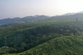 Village above Tea Plantation