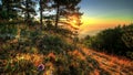 Morning View Of Yalta. HDR Time Lapse Shot Motorized Slider