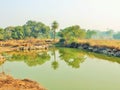 Morning in village when water turned mirror