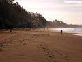 Morning walk on the beach