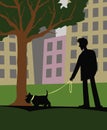 Morning. A walk with a dog. Man with a scotch terrier near a tree. Royalty Free Stock Photo