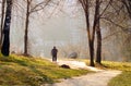 Morning walk in the park with a dog on a spring sunny day Royalty Free Stock Photo