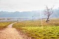 Morning walking on the path Royalty Free Stock Photo