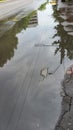 Morning water street reflections