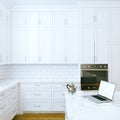 Morning in White Classic Kitchen Interior